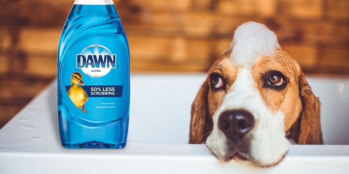 Can you wash a dog with Dawn?